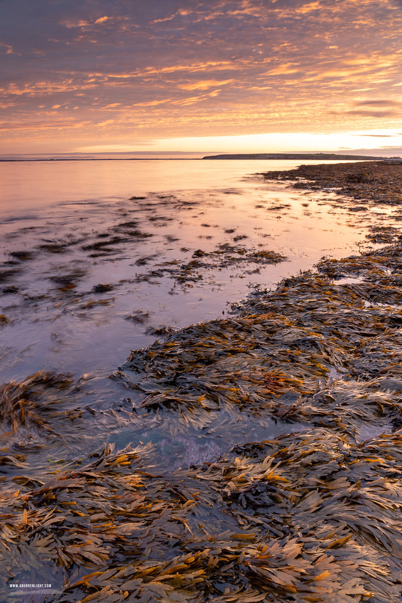 The Flaggy Shore Kinvara Wild Atlantic Way Clare Ireland - autumn,flaggy shore,long exposure,october,sunrise,coast,golden