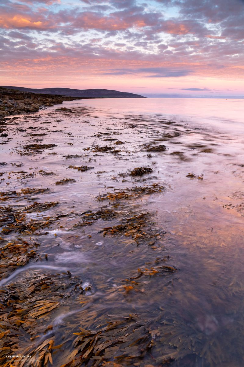 The Flaggy Shore Kinvara Wild Atlantic Way Clare Ireland - autumn,black head,flaggy shore,long exposure,october,pink,sunrise,coast
