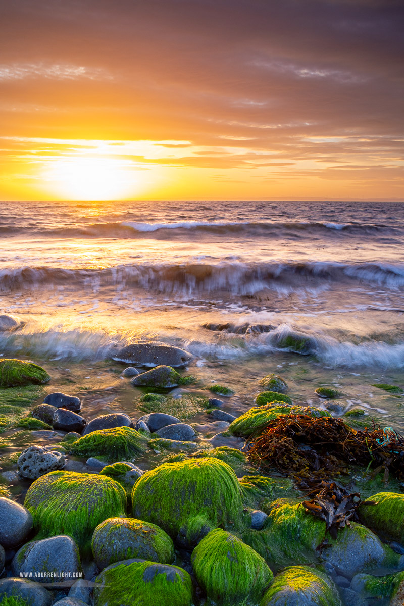 The Flaggy Shore Kinvara Wild Atlantic Way Clare Ireland - coast,flaggy shore,golden,green algae,july,summer,sunset,portfolio