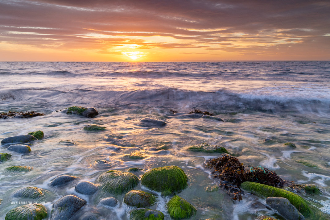 The Flaggy Shore Kinvara Wild Atlantic Way Clare Ireland - boulders,coast,flaggy shore,golden,green algae,july,pebbles,summer,sunset,portfolio