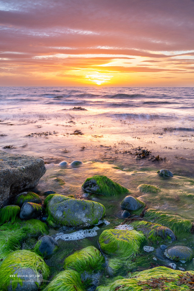 The Flaggy Shore Kinvara Wild Atlantic Way Clare Ireland - boulders,coast,flaggy shore,golden,green algae,july,pebbles,summer,sunset