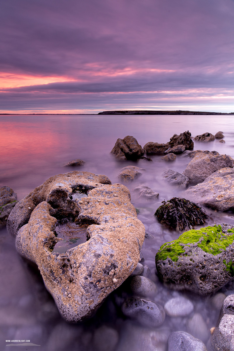 The Flaggy Shore Kinvara Wild Atlantic Way Clare Ireland - flaggy shore,green algae,june,limited,long exposure,pink,spring,twilight,portfolio,coast