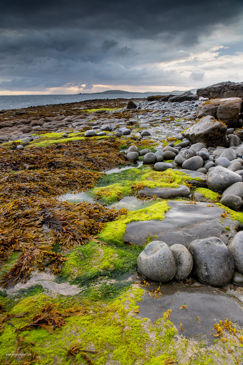 The Rine Peninsula Ballyvaughan Wild Atlantic Way Clare Ireland - algae,ballyvaughan,boulders,july,rine,summer,coast