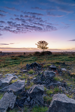 autumn,lone tree,long exposure,october,twilight,lowland