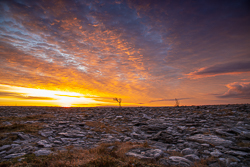 frost,january,lone tree,lowland,orange,sunrise,winter