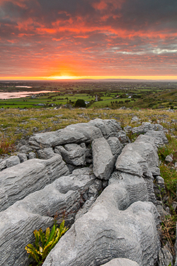abbey hill,red,september,summer,sunrise,hills