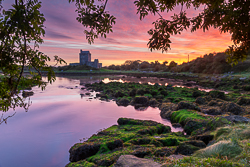 autumn,birch,castle,dunguaire,kinvara,long exposure,purple,september,twilight,portfolio,coast