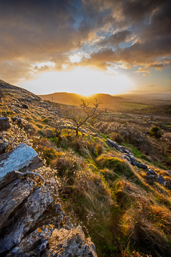 april,fahee,golden,hills,limited,pick-hills,portfolio,spring,sunrise,wall,drama
