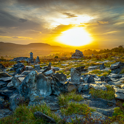 autumn,fahee,golden,hills,lone tree,mist,october,prayer,square,stone,sunrise