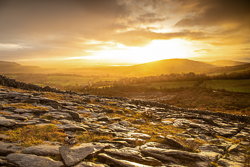 fahee,golden,hills,january,mist,pick-hills,wall,winter