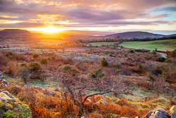 fahee,frost,golden,lone tree,march,orange,pick-hills,sunrise,sunstar,winter