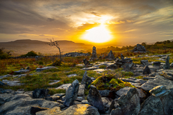 autumn,fahee,golden,hills,lone tree,mist,october,prayer,stone,sunrise