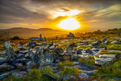 autumn,fahee,golden,hills,lone tree,mist,limited,october,portfolio,prayer,stone,sunrise