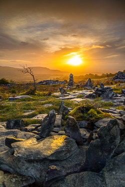 autumn,fahee,golden,hills,lone tree,mist,october,prayer,stone,sunrise