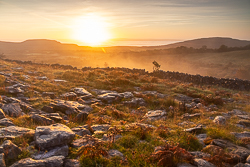 autumn,fahee,mist,october,sunrise,portfolio,golden,hills