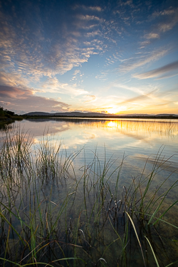 august,golden,lough bunny,lowlands,reflections,summer,sunset,monthly-pick