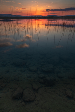 dusk,lough bunny,may,reflections,spring,lowlands,dark,pick-lowland