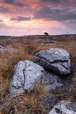 long exposure,mullaghmore,november,pink,sunrise,winter,park