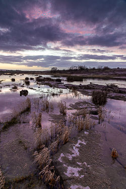 dusk,january,mullaghmore,winter,park