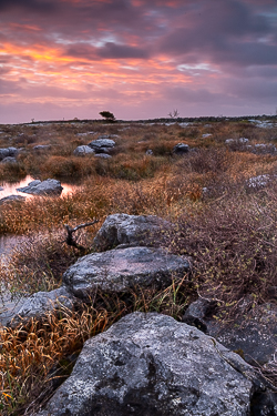 limited,long exposure,mullaghmore,november,pink,sunrise,winter,park,portfolio