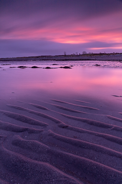coast,december,limited,long exposure,pick-coast,pink,portfolio,rosshill,sand ripples,twilight,winter