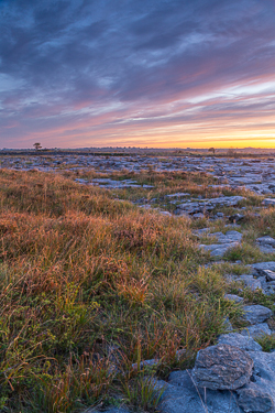 autumn,lowlands,red,september,twilight