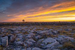 autumn,golden,lowlands,red,september,sunrise