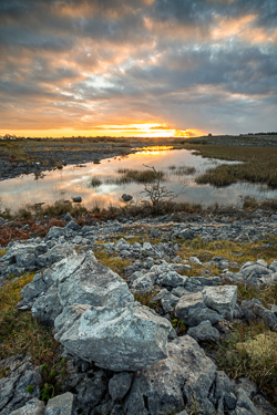 golden,january,lowland,reeds,reflections,sunset,winter