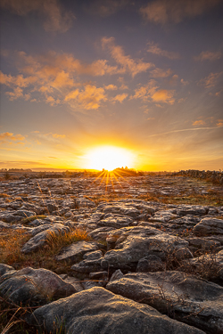 golden,january,lowland,sunrise,sunstar,winter