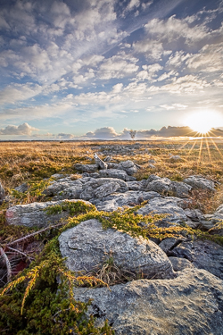 evening,golden,lowlands,march,sunset,sunstar,winter,pick-lowland