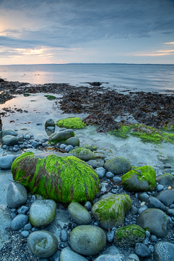 Green algae-covered boulders at The Flaggy Shore on a calm spring morning in County Clare