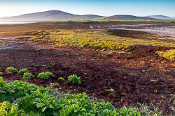 april,aughinish,spring,coast,mist