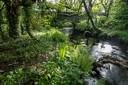 bridge,kilfenora,long exposure,may,spring,green,lowland