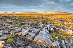 autumn,golden hour,november,sunrise,lowland,golden