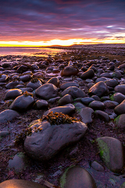 Twilight on the Rine
