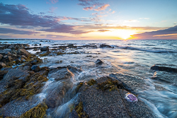 coast,golden,jellyfish,june,spring,sunset,traught