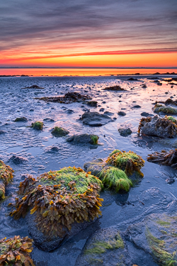 kinvara,long exposure,may,red,sand ripples,spring,traught,twilight,coast,orange