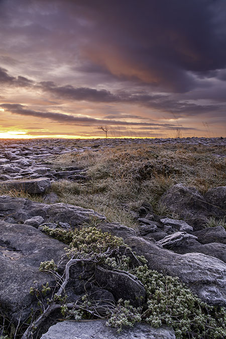 A fabulous sunrise over the Burren Lowlands, co Clare, Ireland